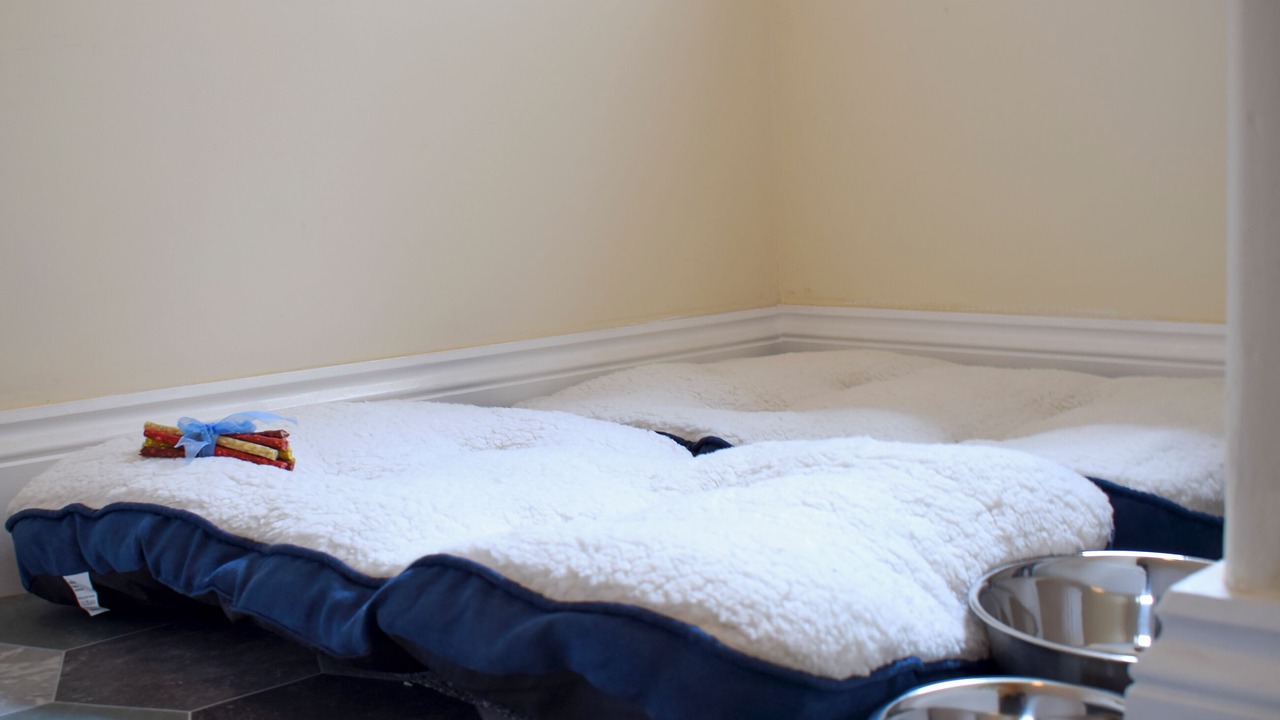 Photo of Others in Amble