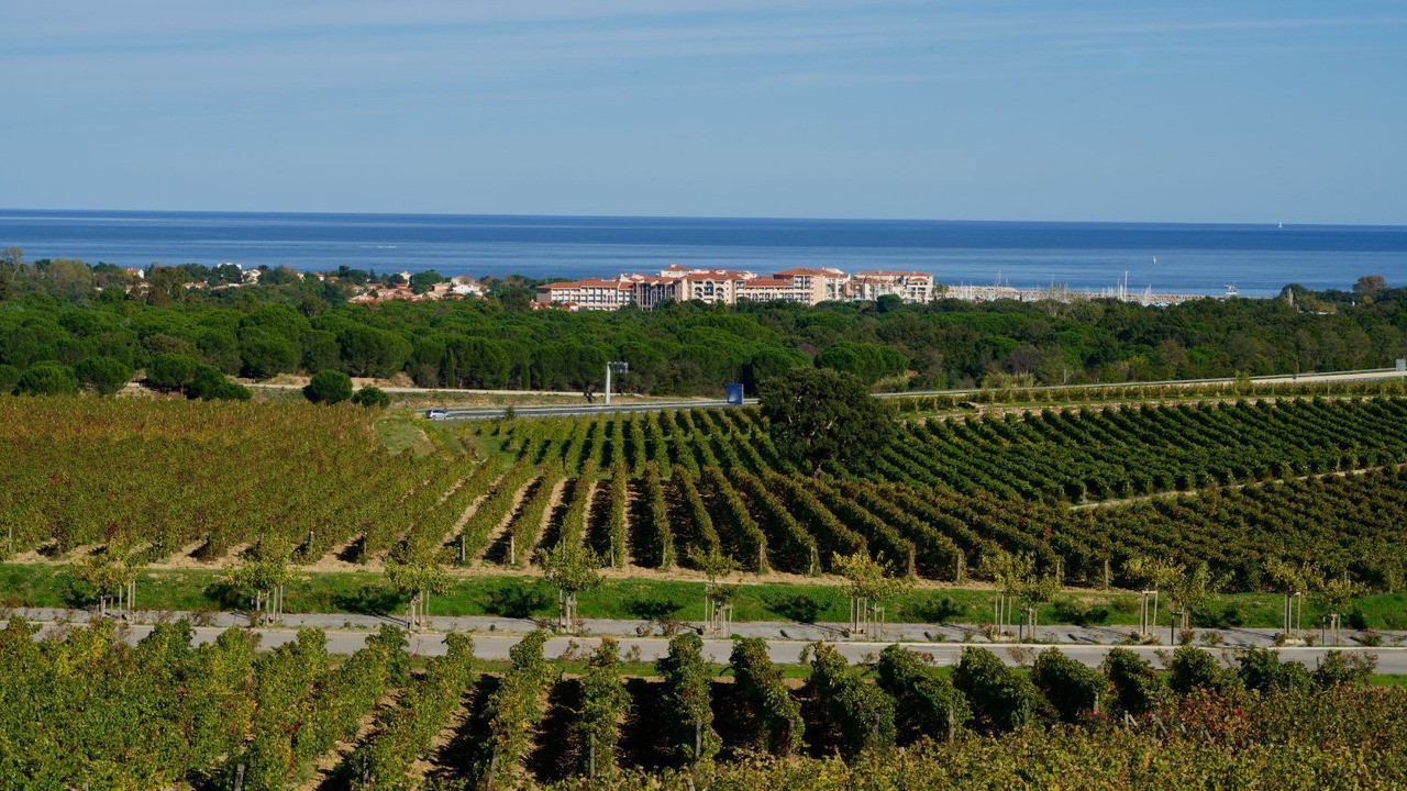 Photo of Outdoor in Argeles-sur-Mer