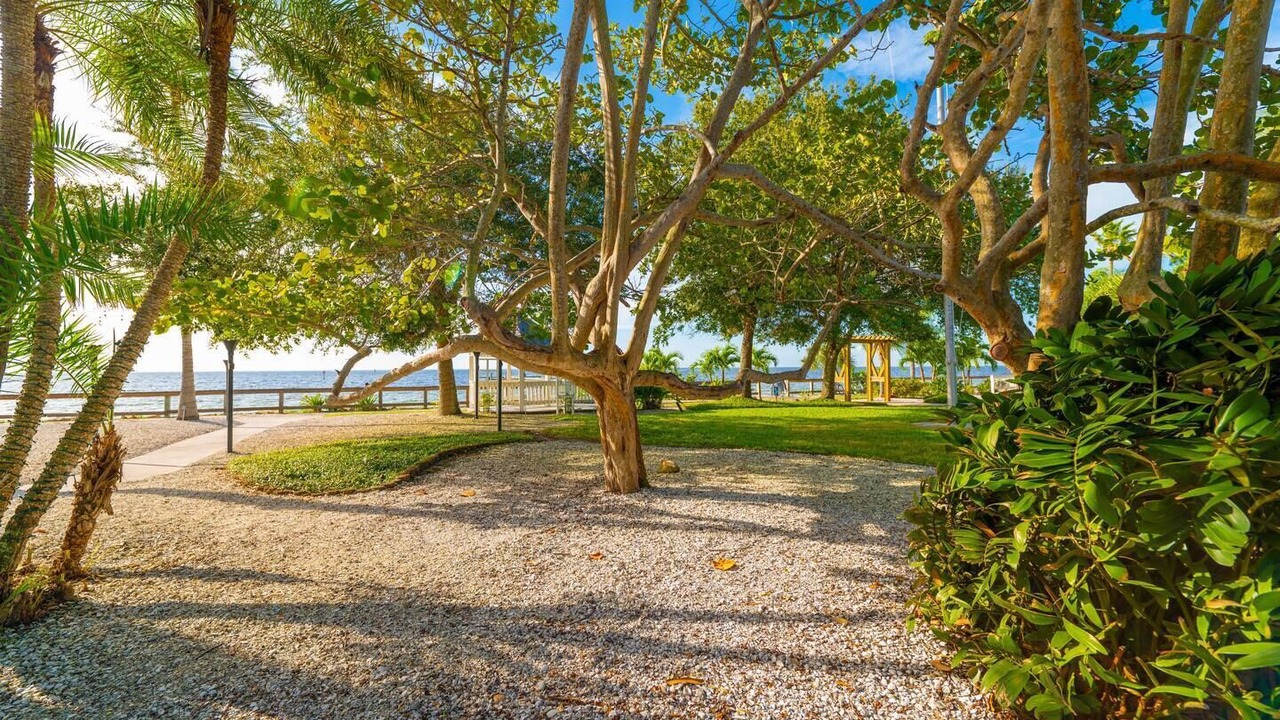 Photo of Outdoor in Ruskin