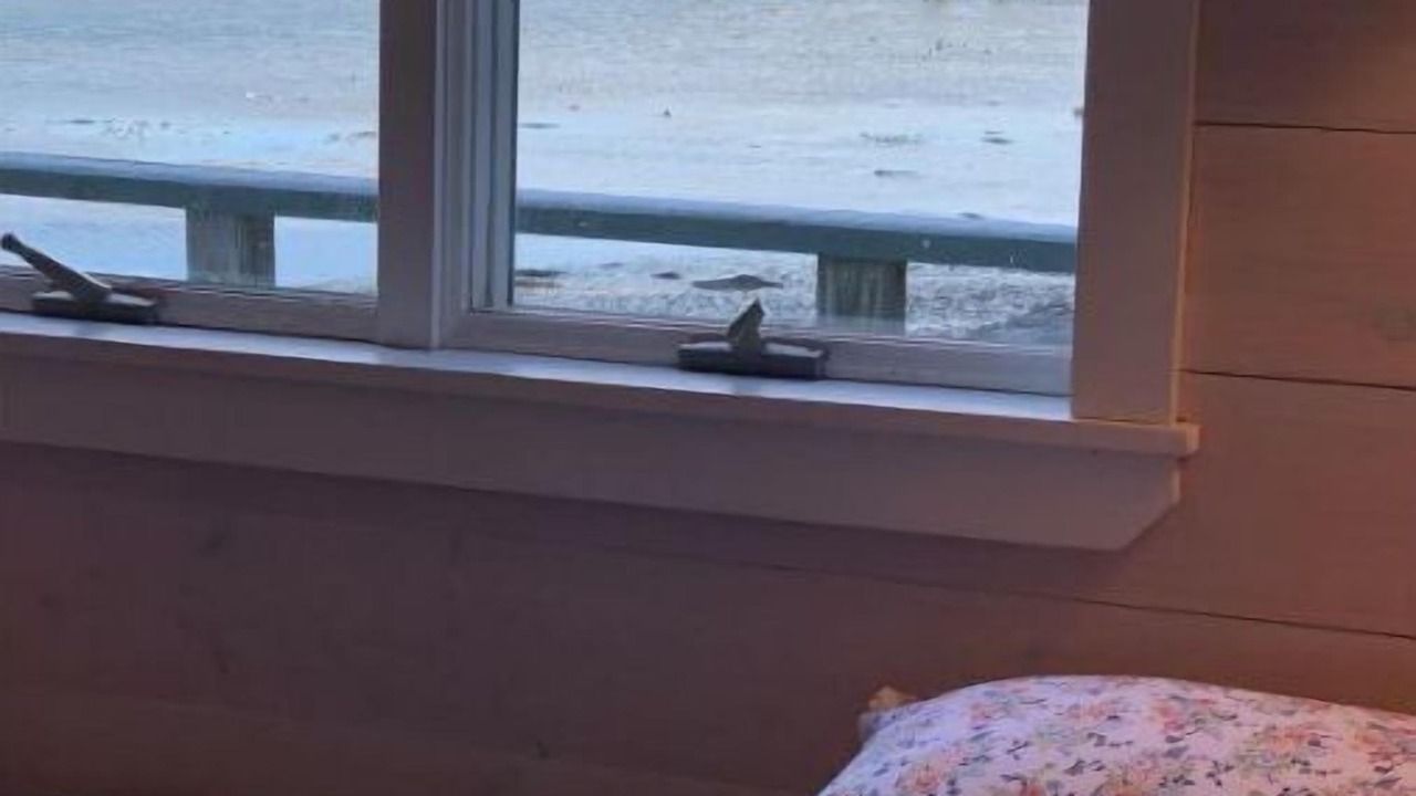 Photo of Others in Bernard