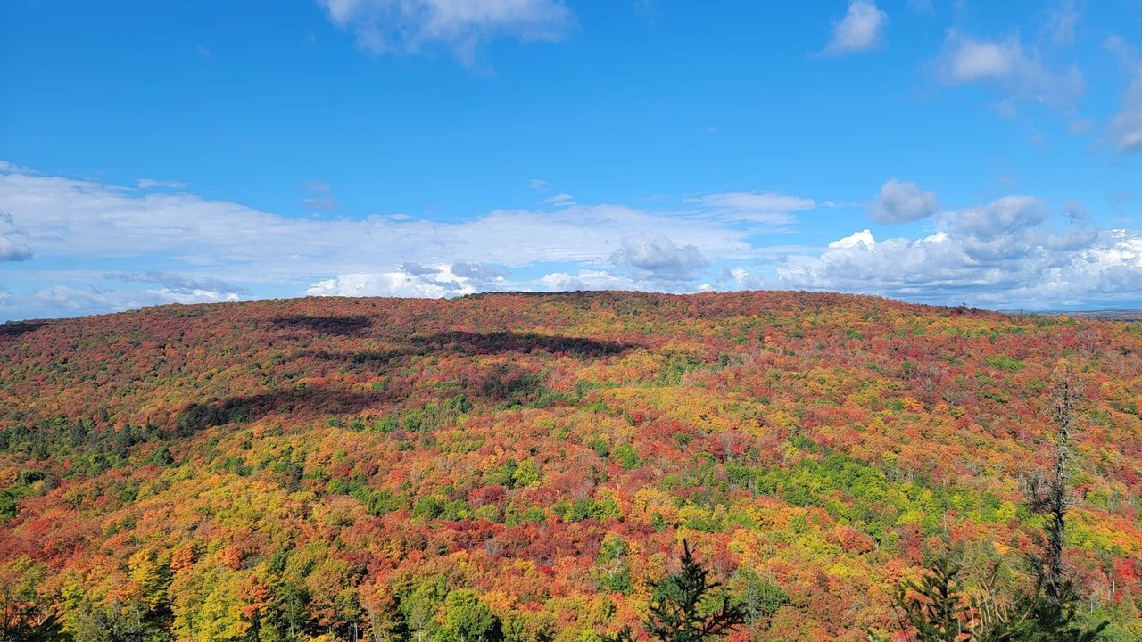 Photo of Others in Lutsen