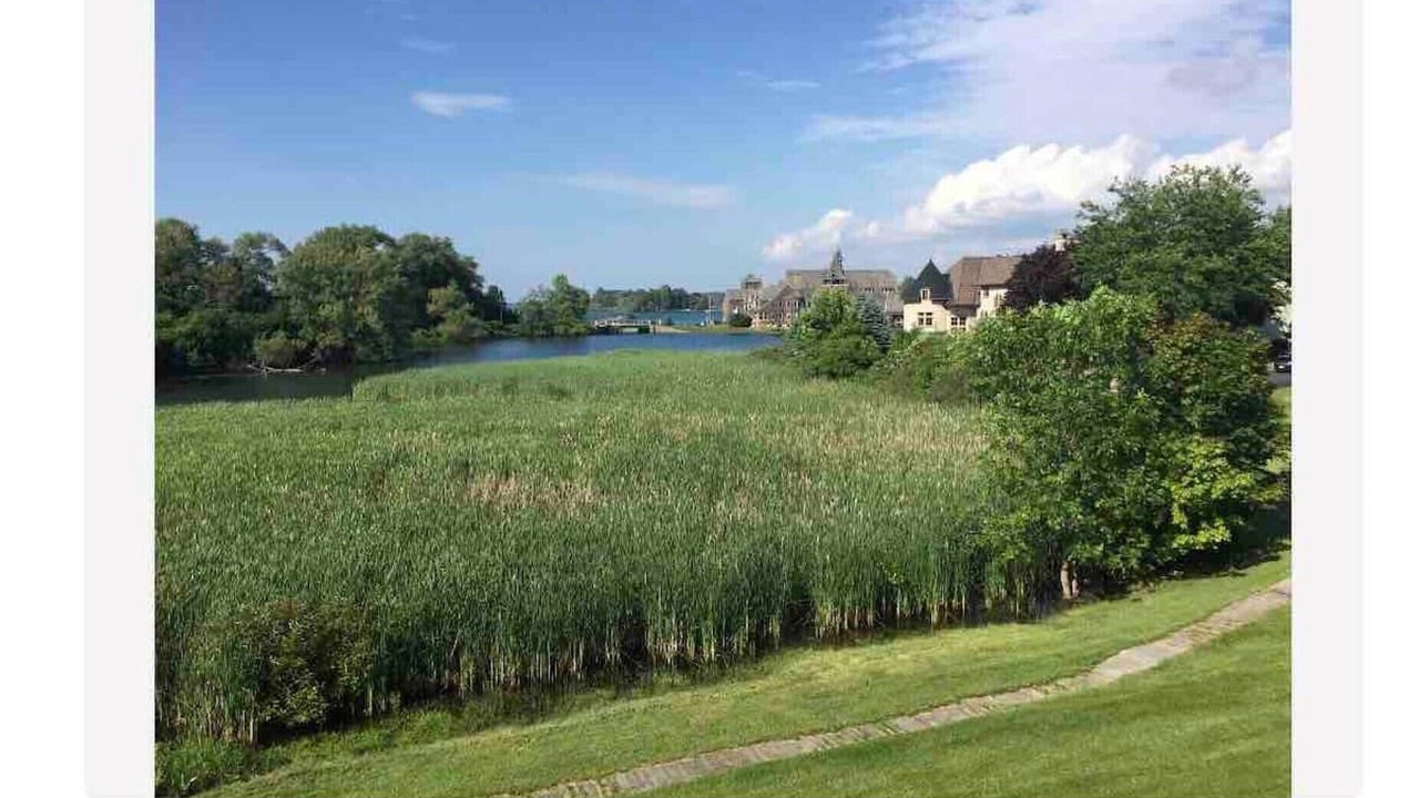 Photo of Outdoor in Wellesley Island