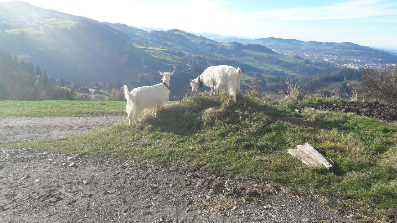 Photo of Others in Rehetobel