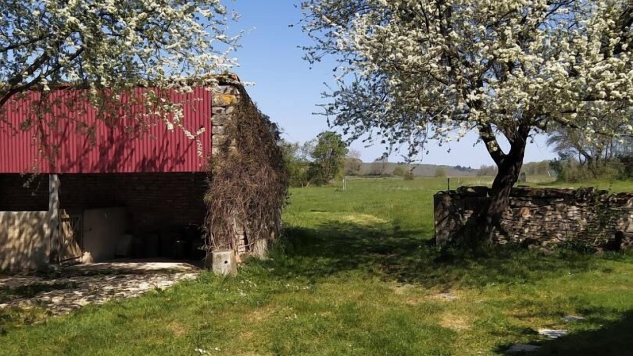 Photo of Outdoor in Chapaize