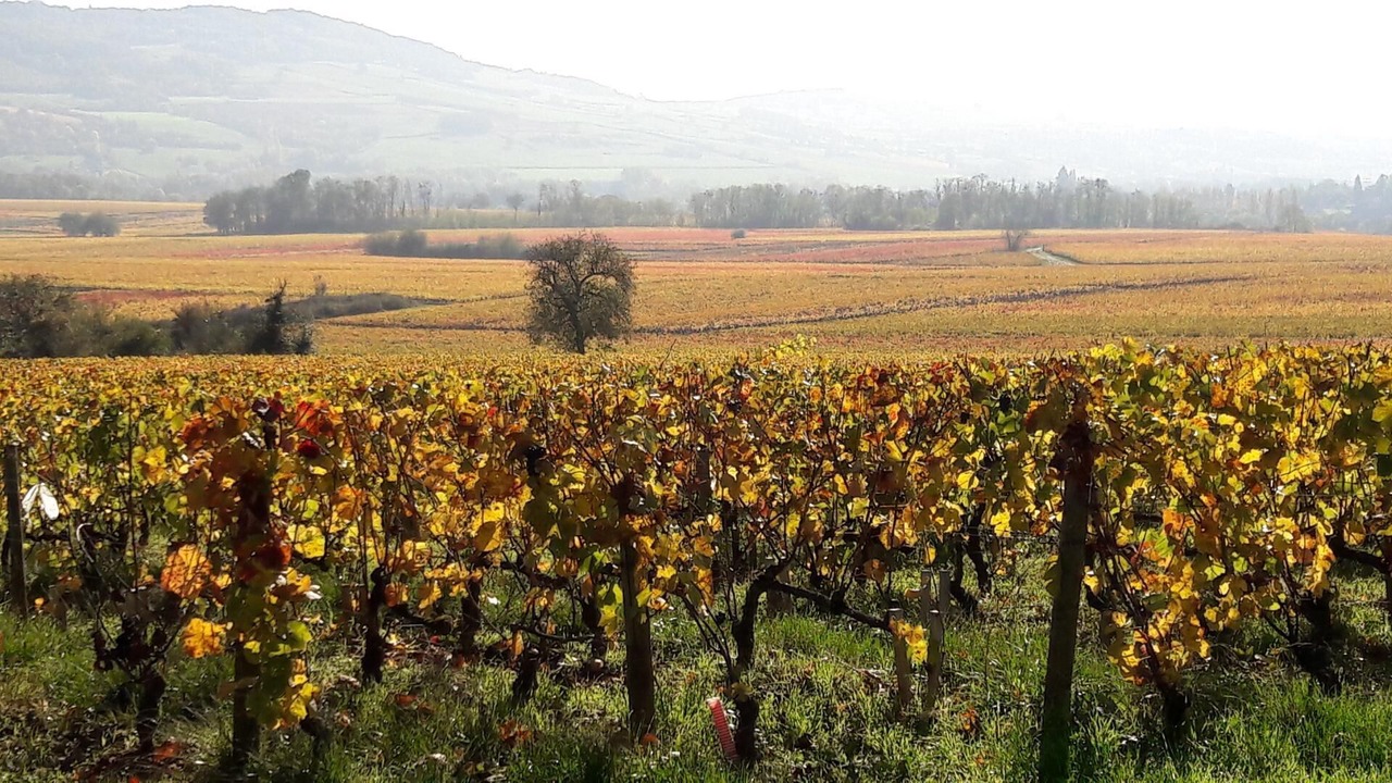 Photo of Outdoor in Creot