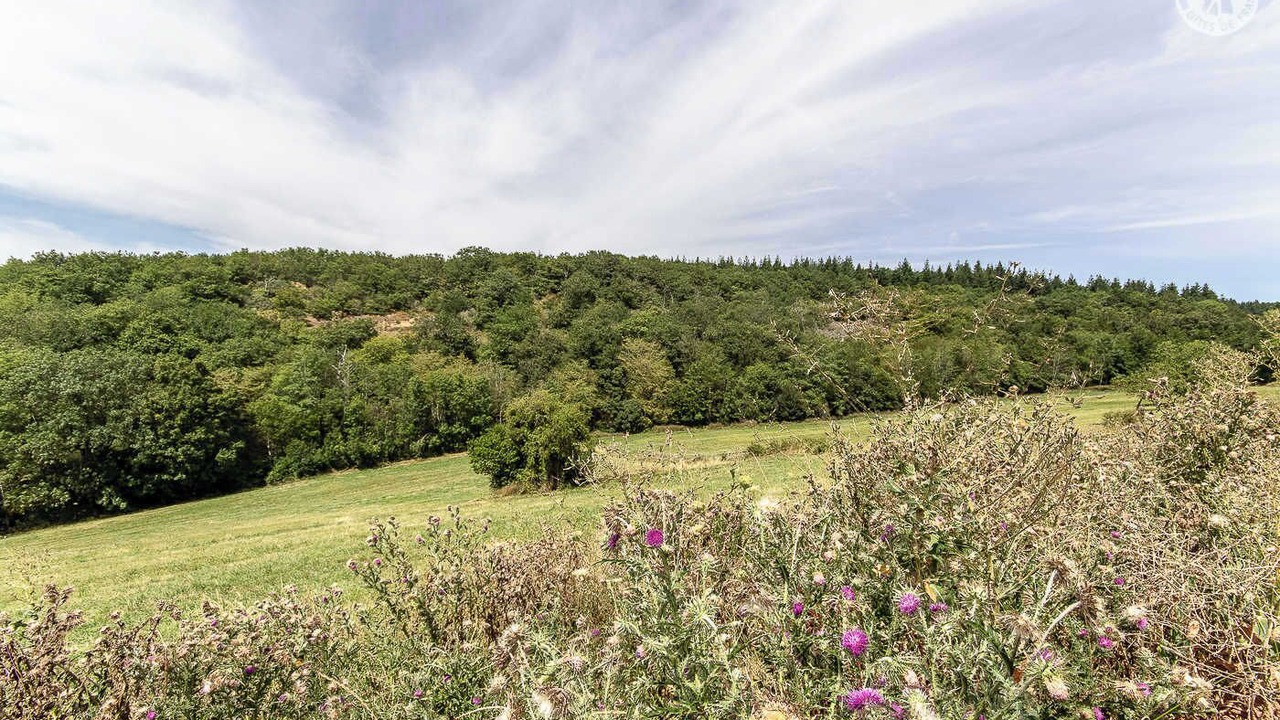 Photo of Others in Berze-le-Chatel