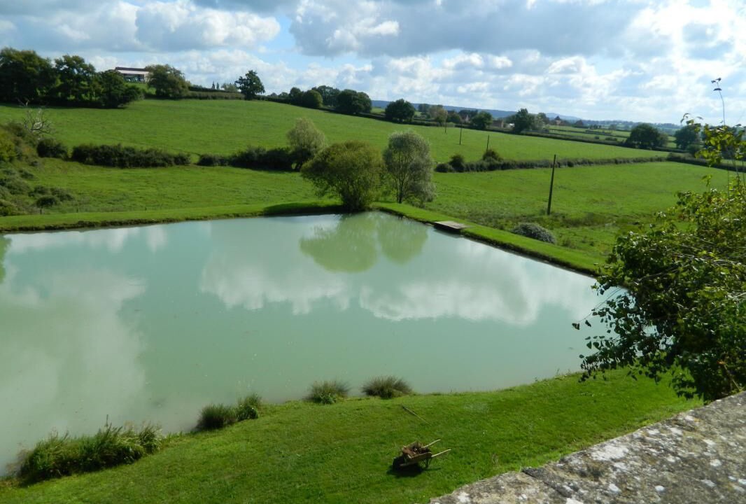 Photo of Outdoor in Viry