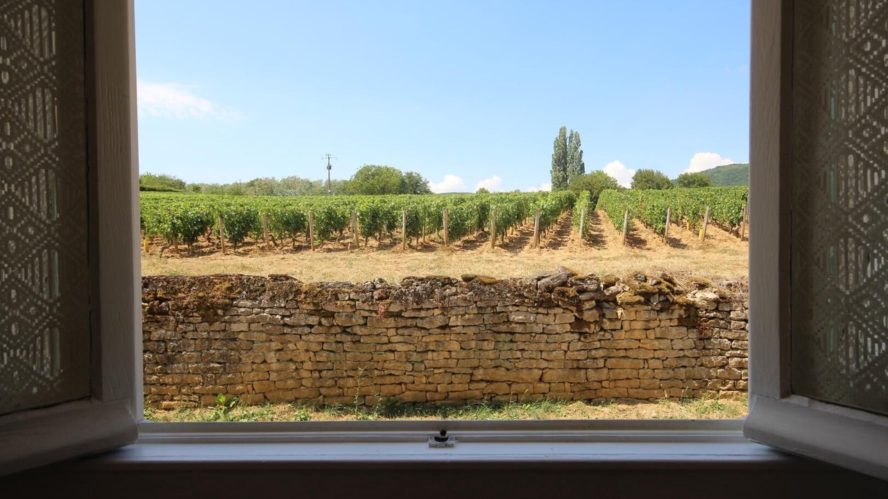 Photo of Others in Saint-Jean-de-Vaux