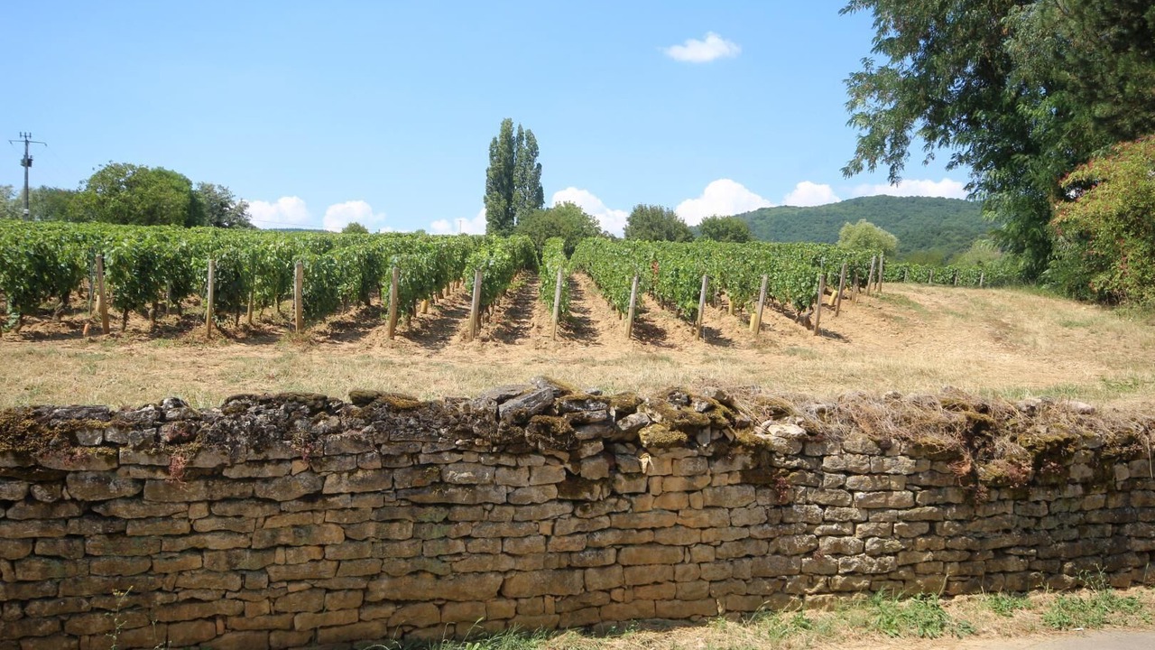 Photo of Others in Saint-Jean-de-Vaux