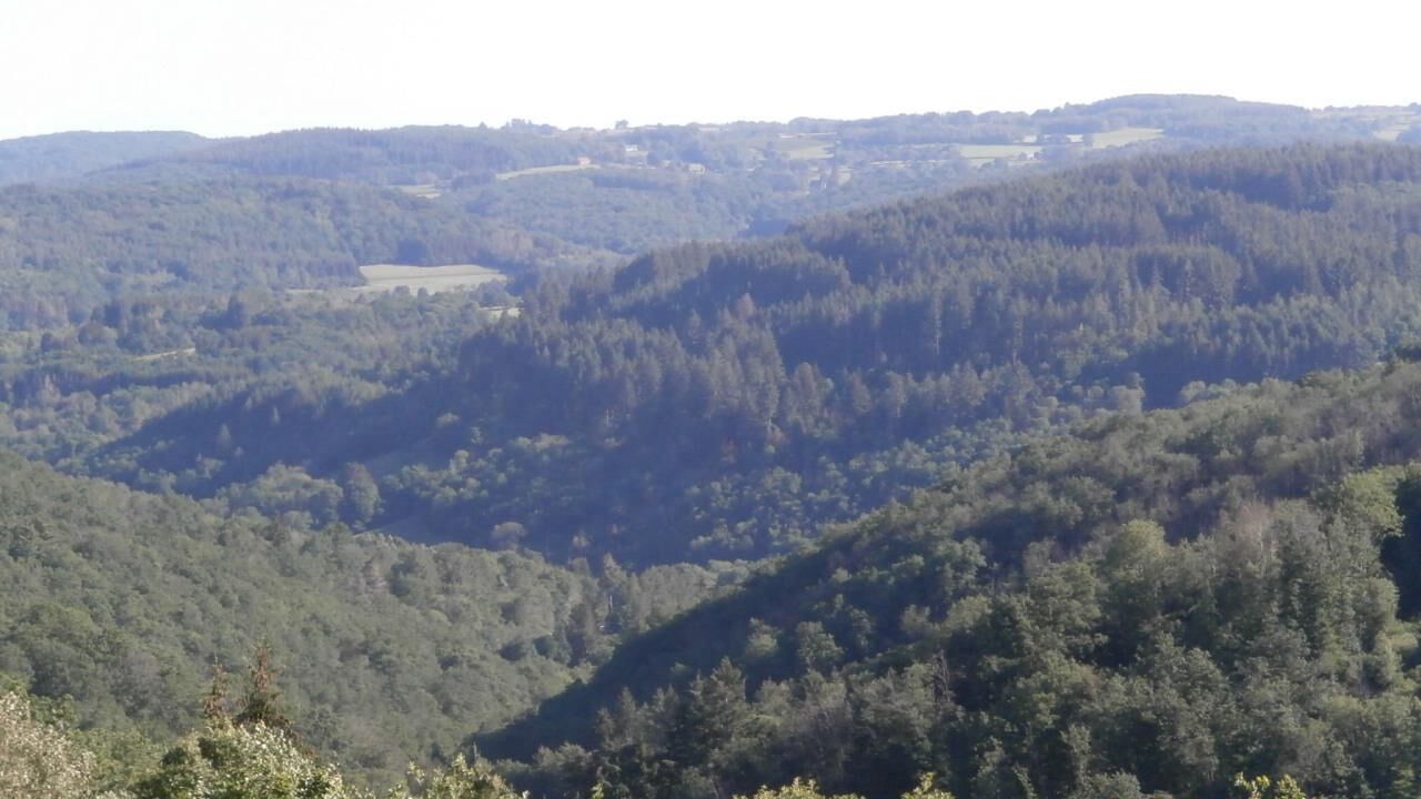 Photo of Others in Chissey-en-Morvan