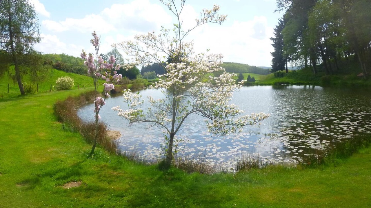 Photo of Outdoor in Saint-Leger-sous-Beuvray