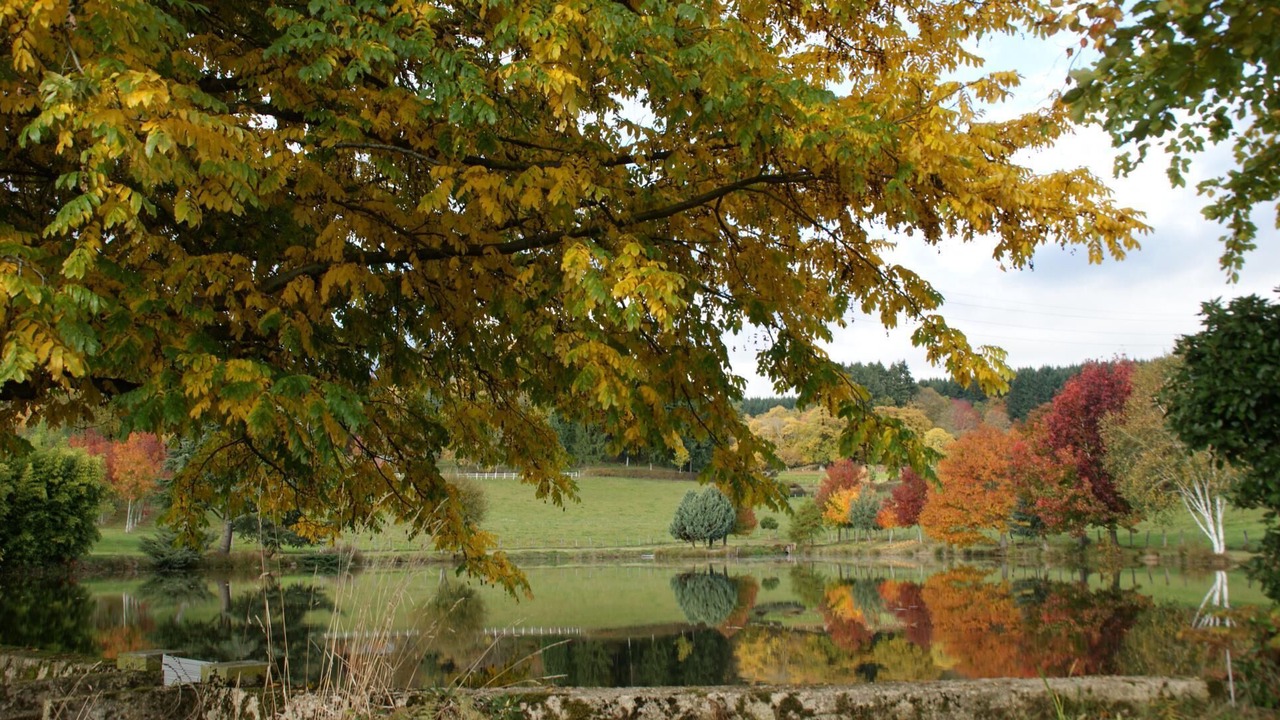 Photo of Outdoor in Saint-Leger-sous-Beuvray