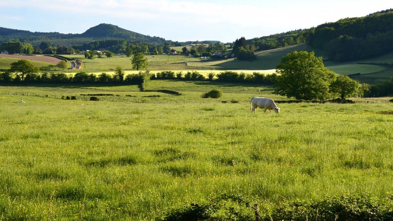 Photo of Others in Saint-Leger-sous-Beuvray