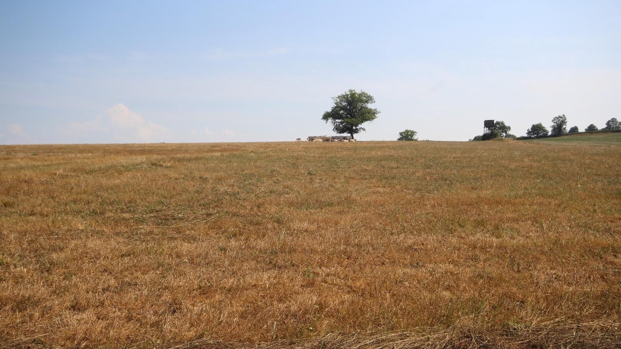 Photo of Outdoor in Bourbon-Lancy