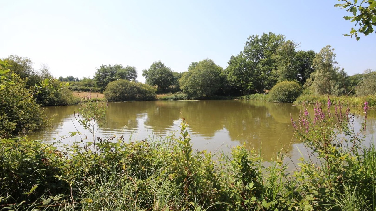 Photo of Outdoor in Bourbon-Lancy