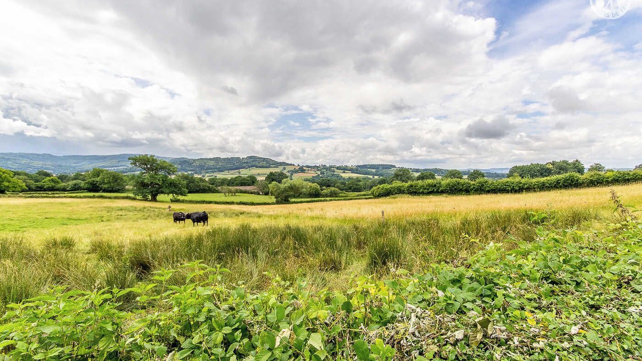 Photo of Others in Mesvres