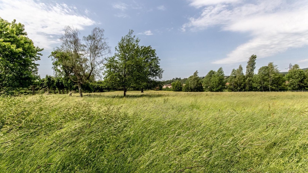 Photo of Others in Cluny