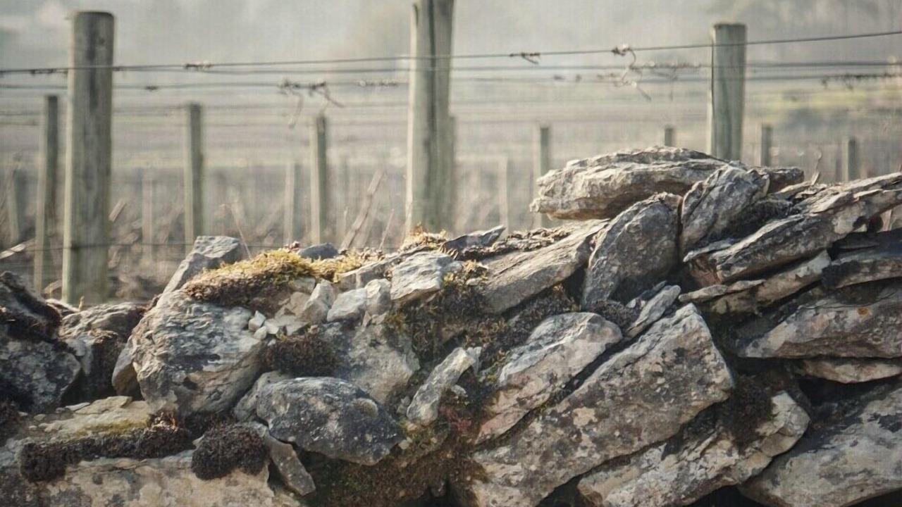 Photo of Others in Fragnes