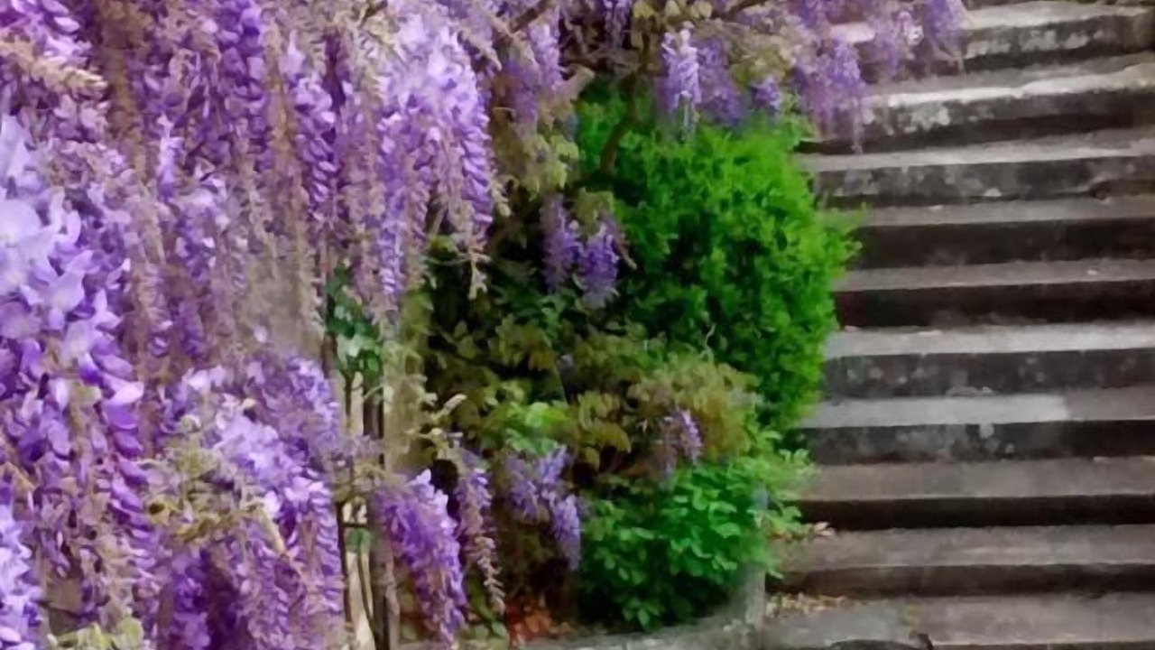 Photo of Outdoor in Fragnes