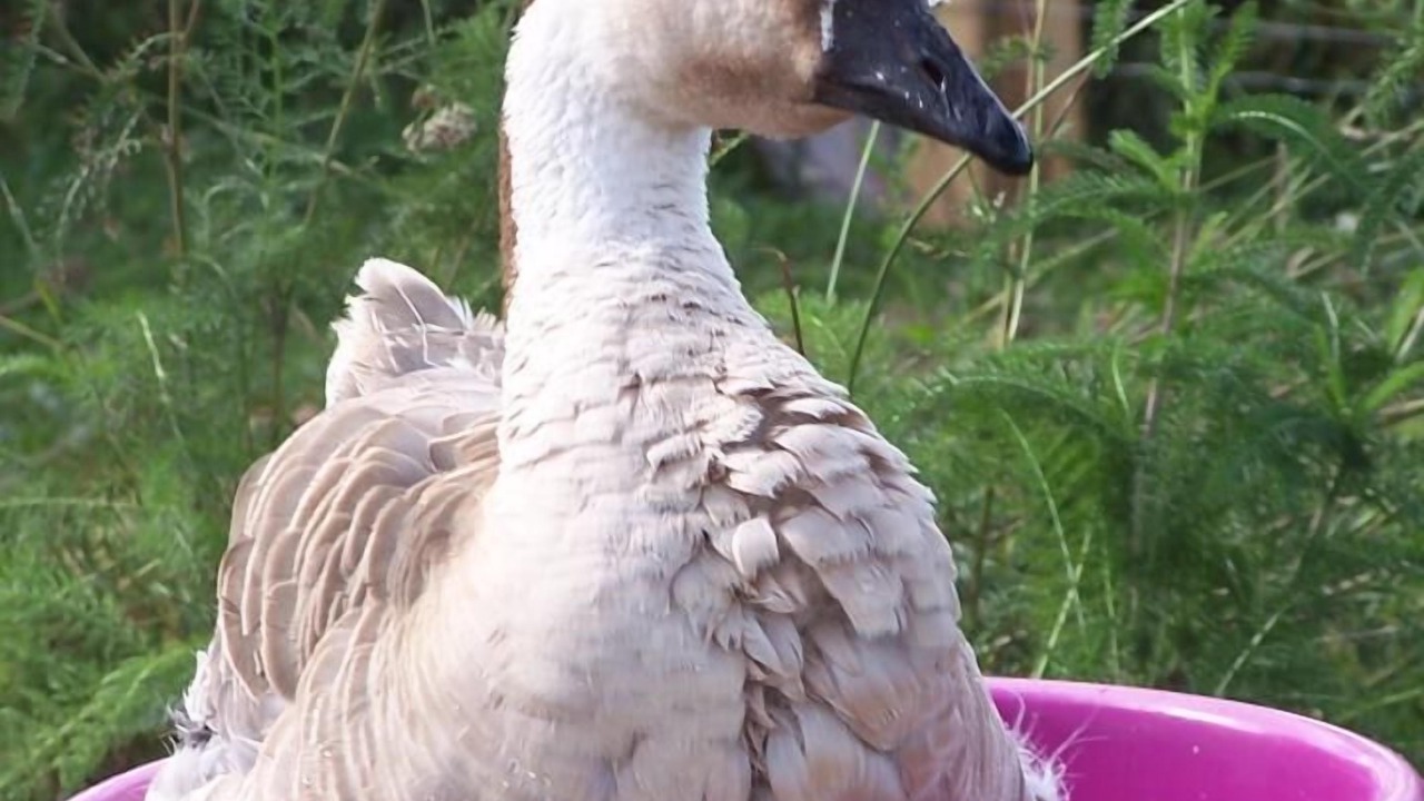 Photo of Outdoor in Marmagne