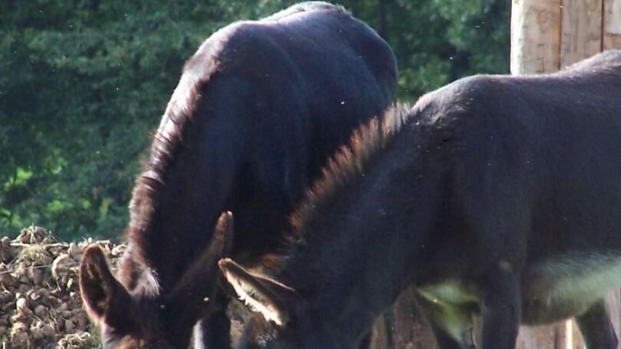 Photo of Outdoor in Marmagne