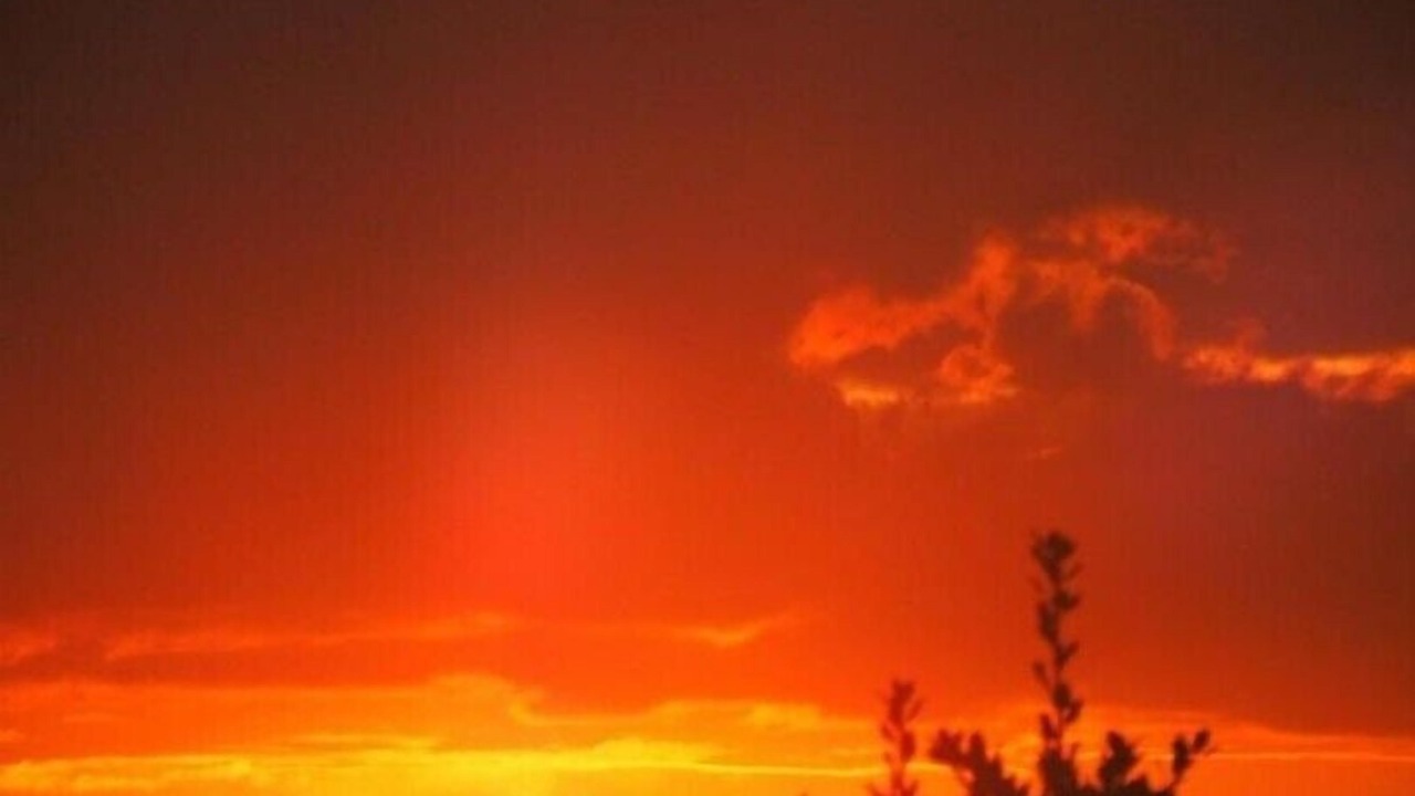 Photo of Others in Marmagne