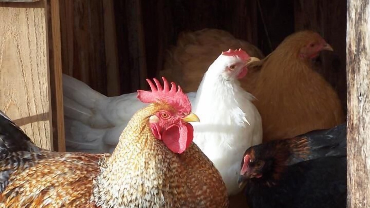 Photo of Bedroom in Marmagne