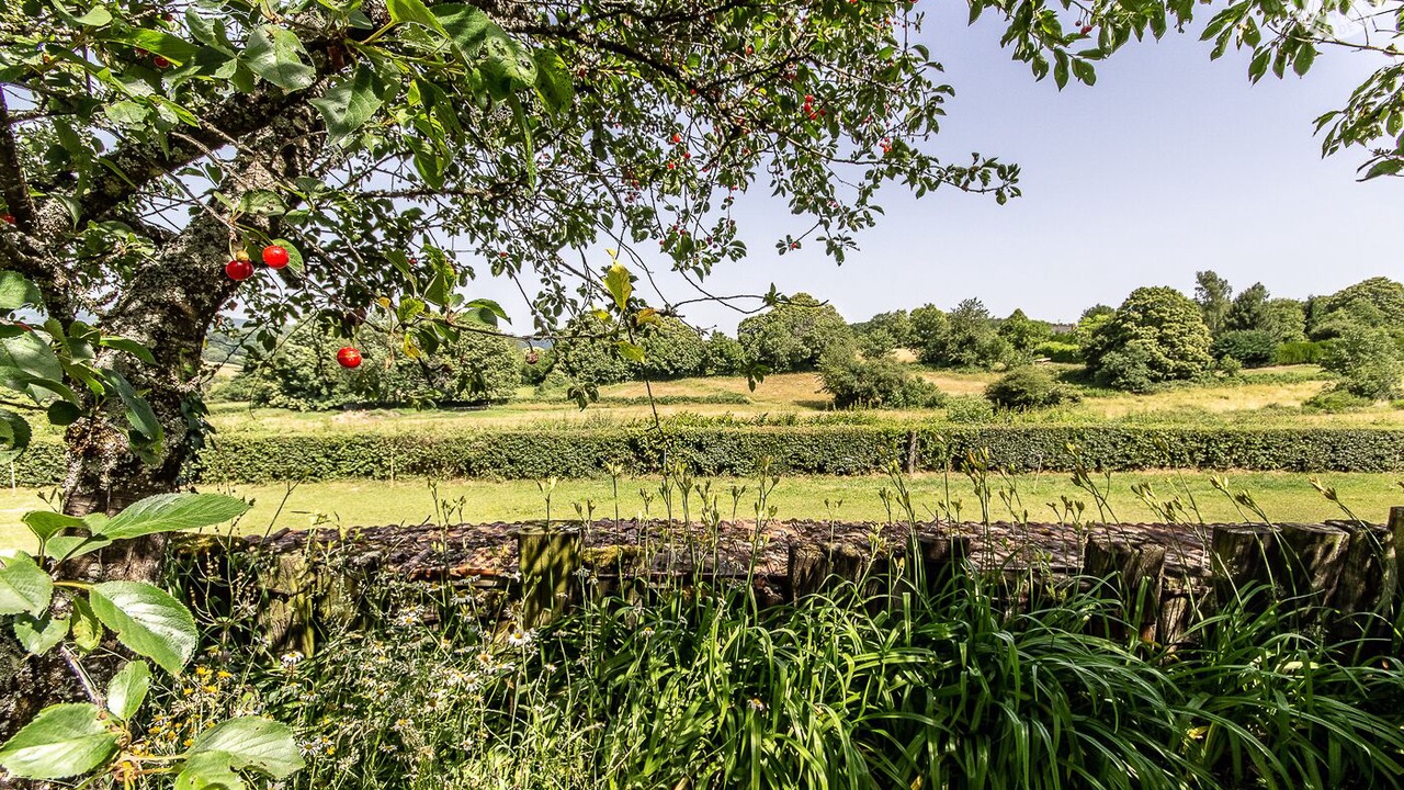 Photo of Outdoor in Marmagne