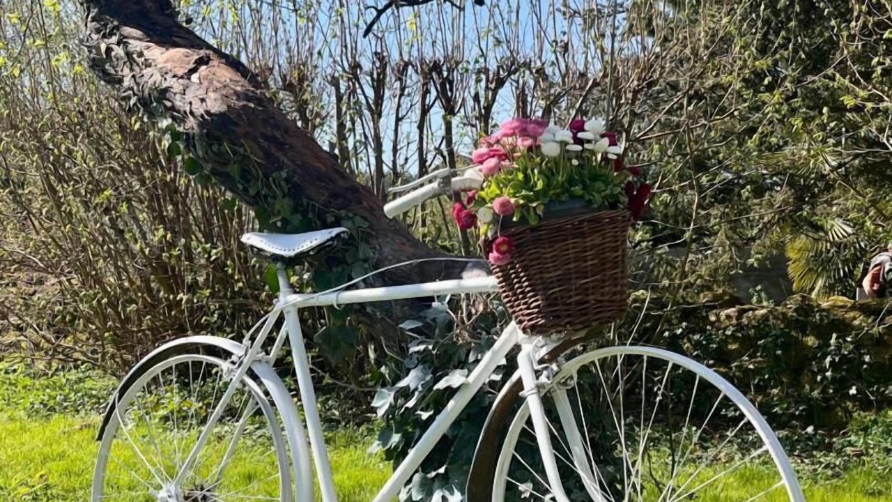 Photo of Others in Saisy