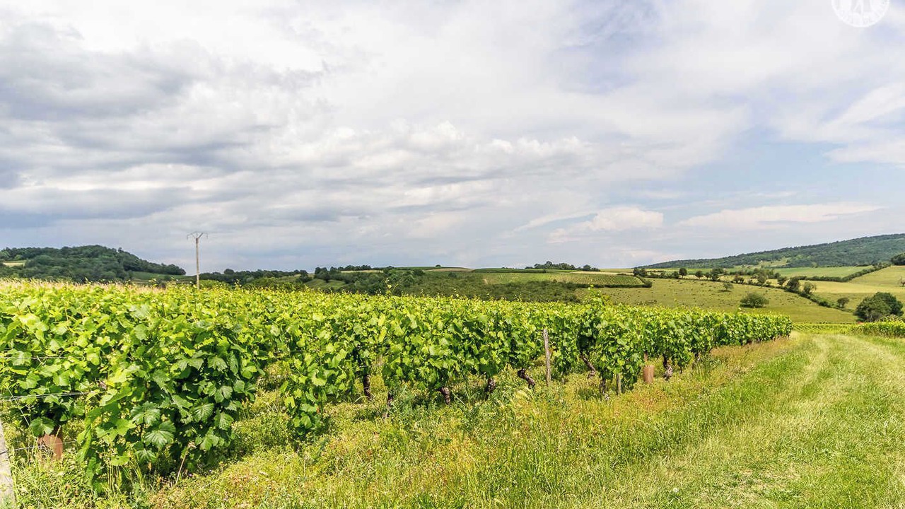 Photo of Others in Saint-Mard-de-Vaux