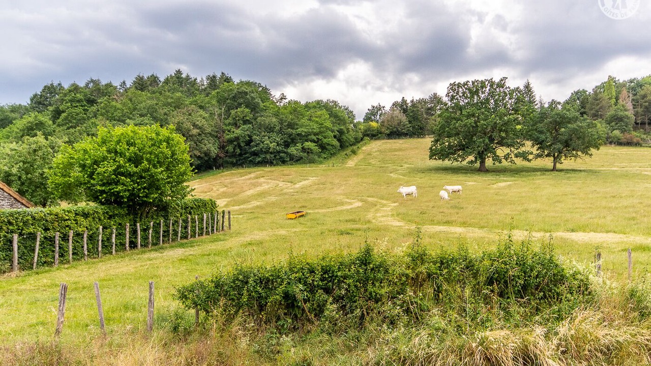 Photo of Others in Saint-Mard-de-Vaux