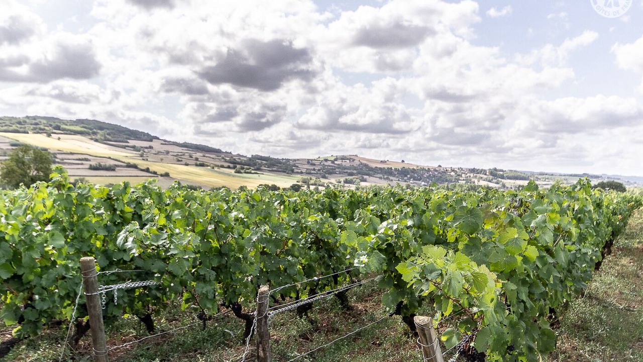 Photo of Outdoor in Cheilly-les-Maranges