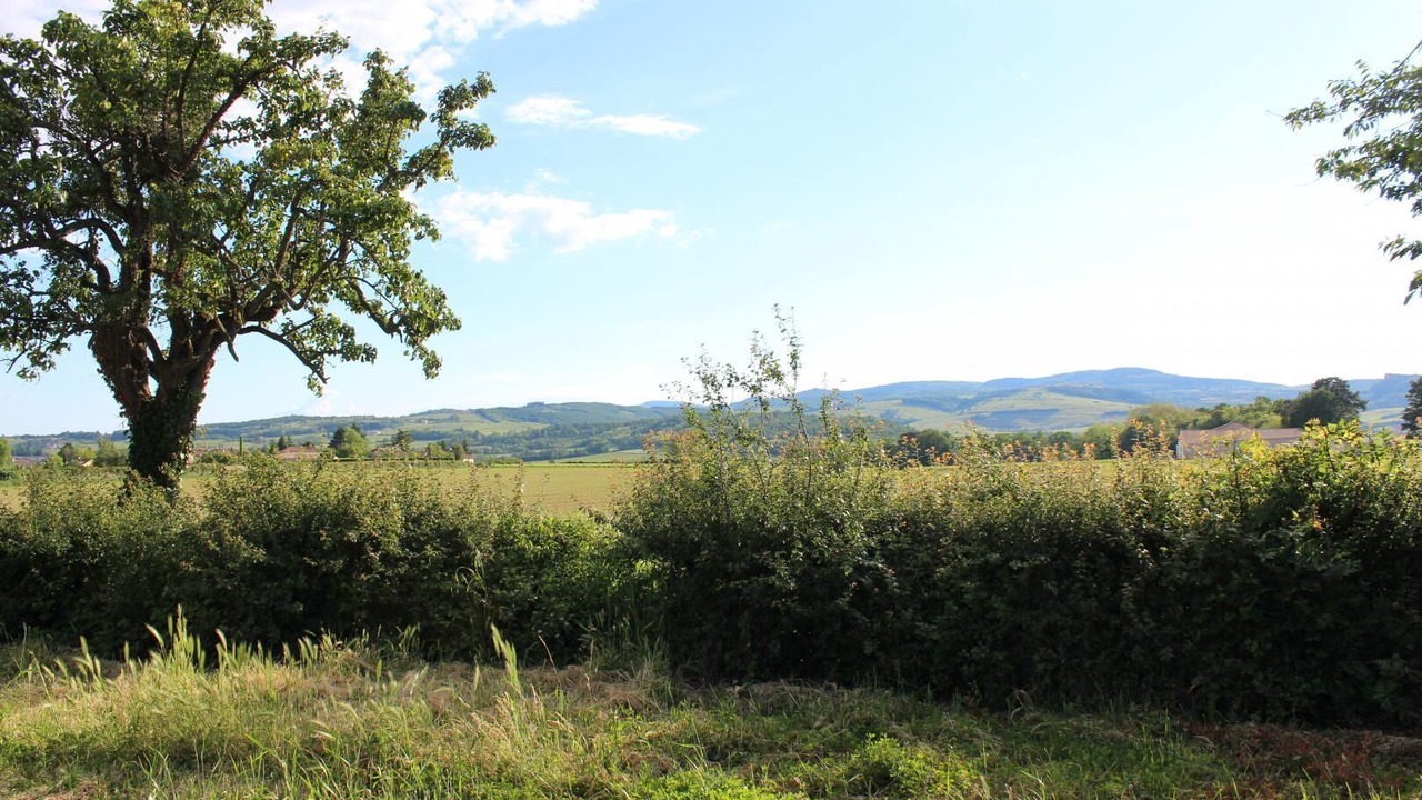 Photo of Outdoor in Charnay-les-Macon