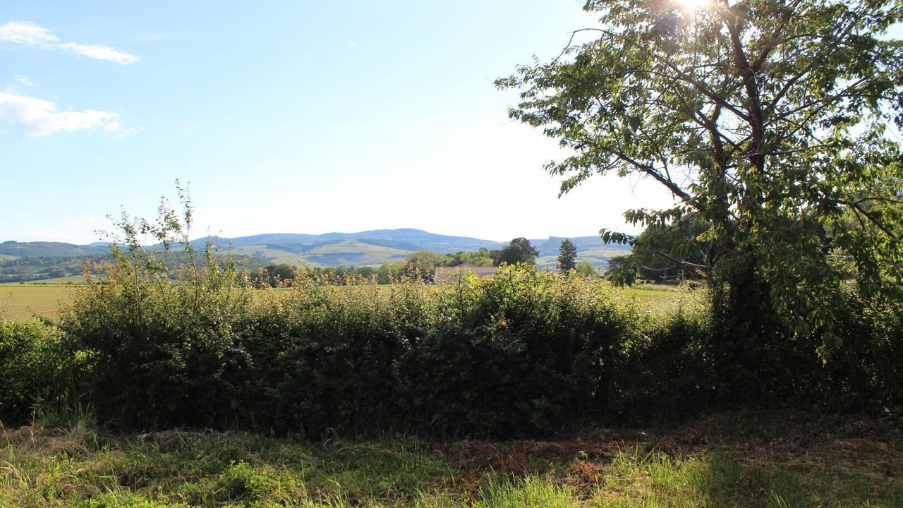 Photo of Outdoor in Charnay-les-Macon