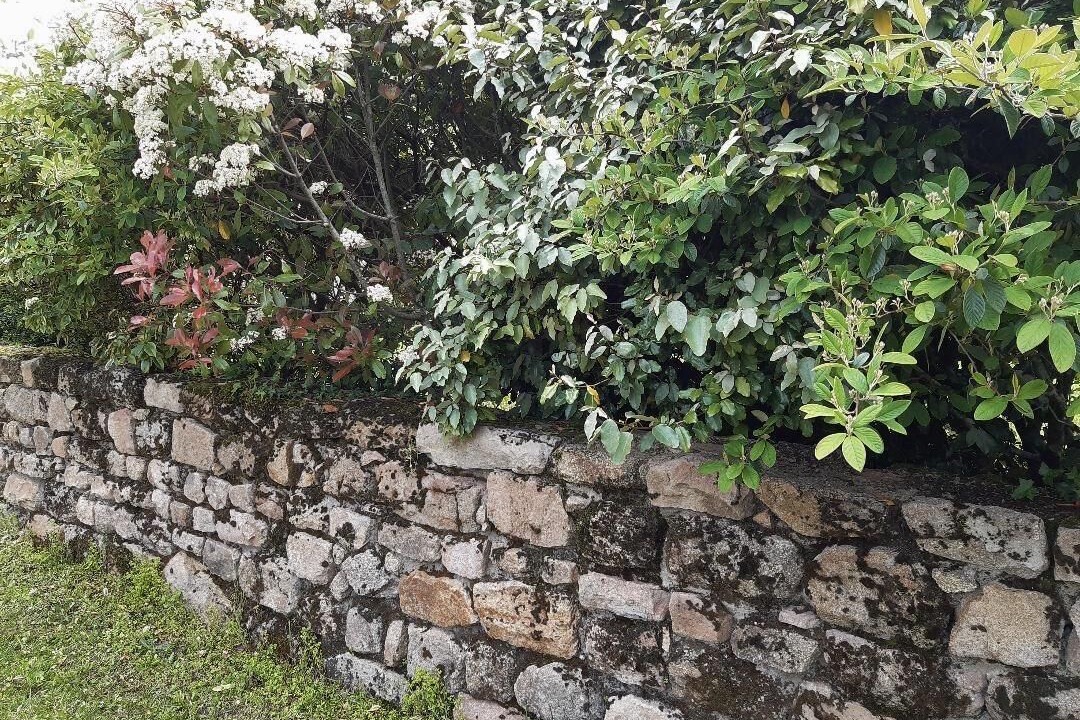 Photo of Outdoor in Suin