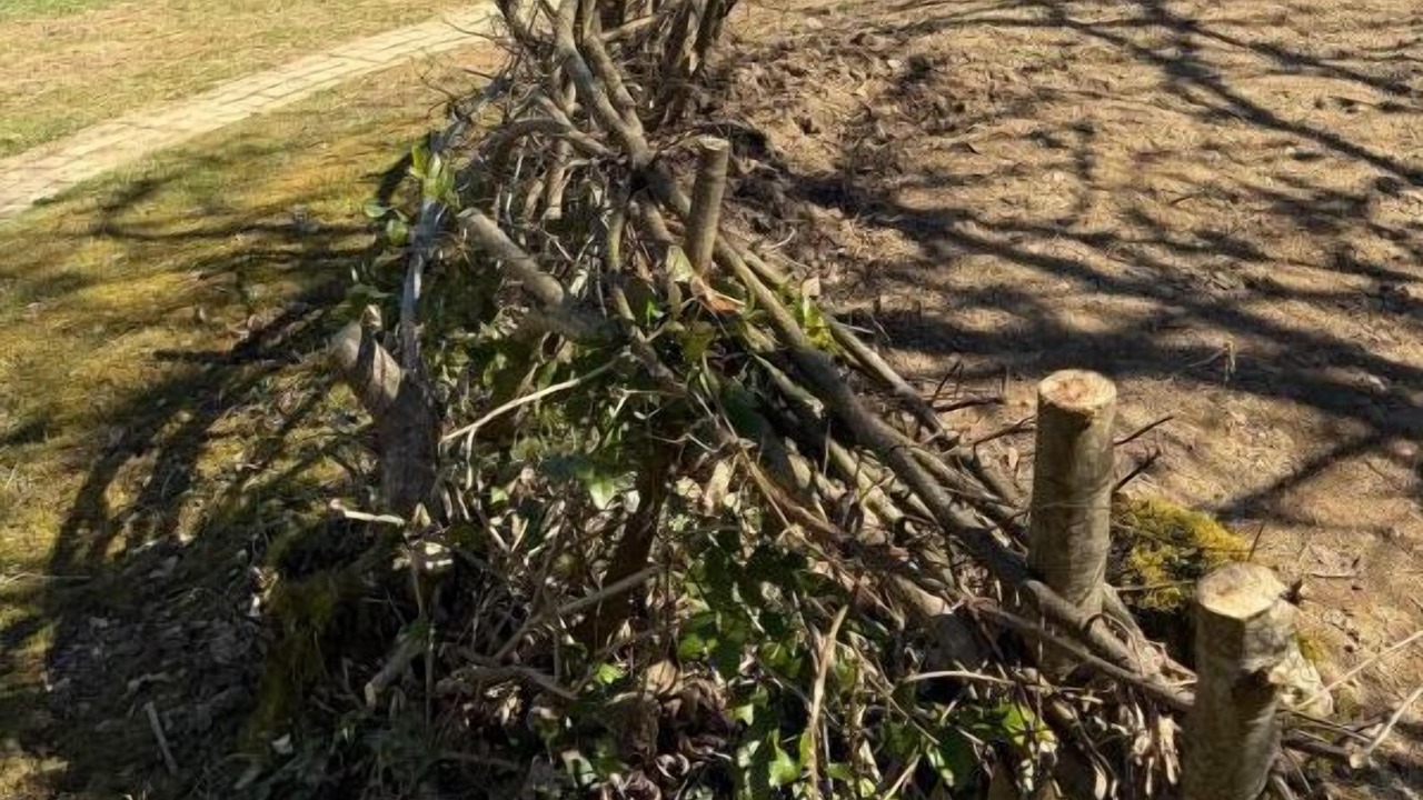 Photo of Outdoor in Roussillon-en-Morvan