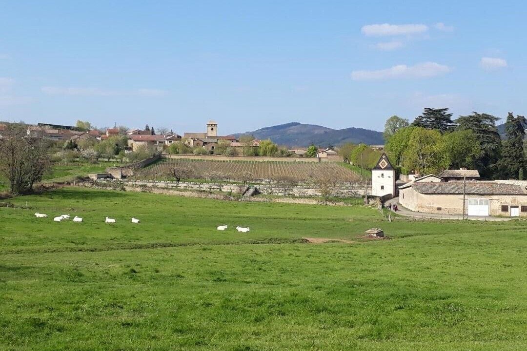 Photo of Others in Sologny