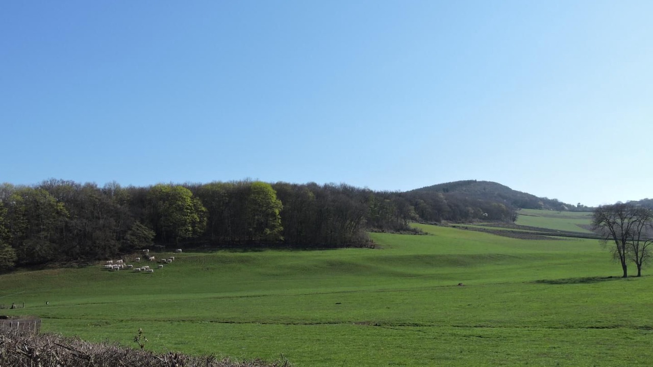 Photo of Others in Sologny