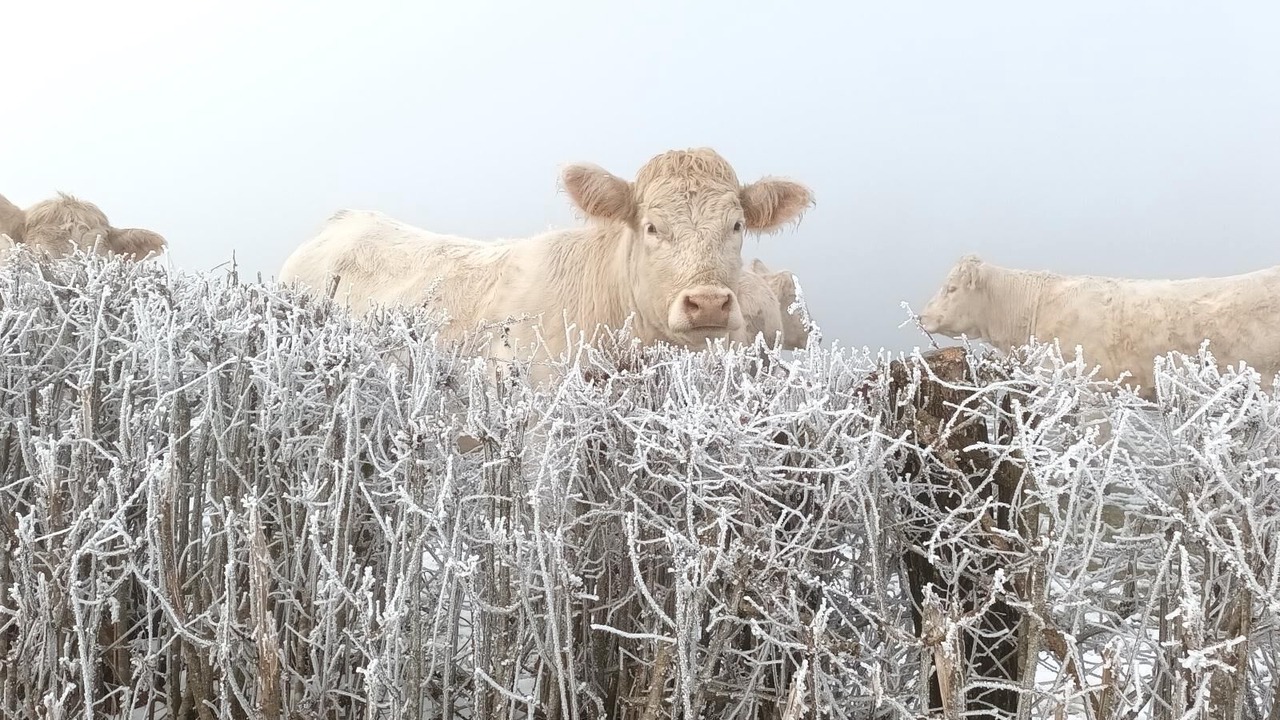 Photo of Others in Sologny