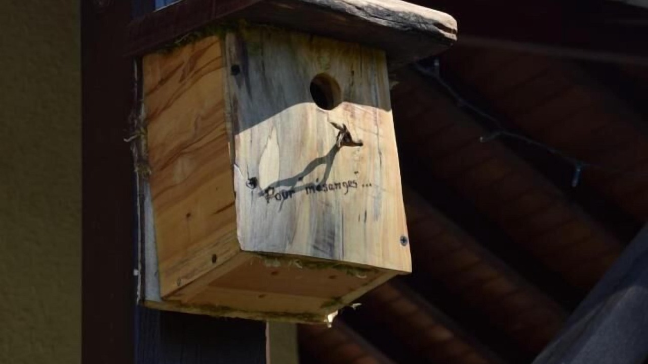 Photo of Outdoor in La Charmee