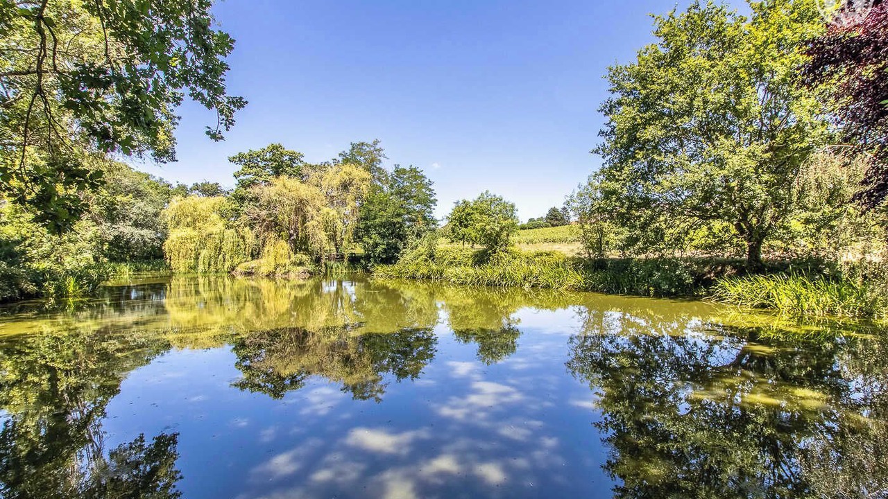 Photo of Others in La Chapelle-de-Guinchay