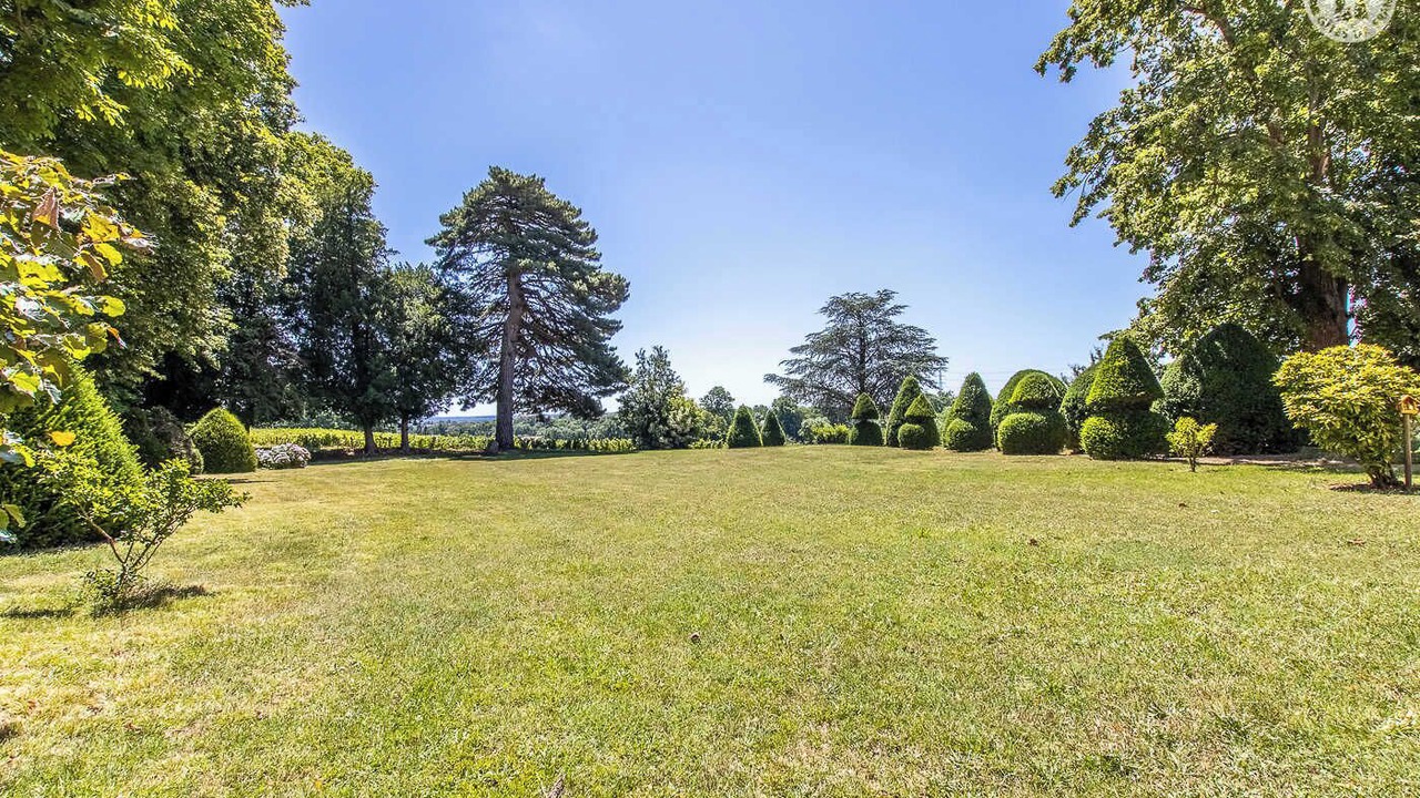 Photo of Outdoor in La Chapelle-de-Guinchay