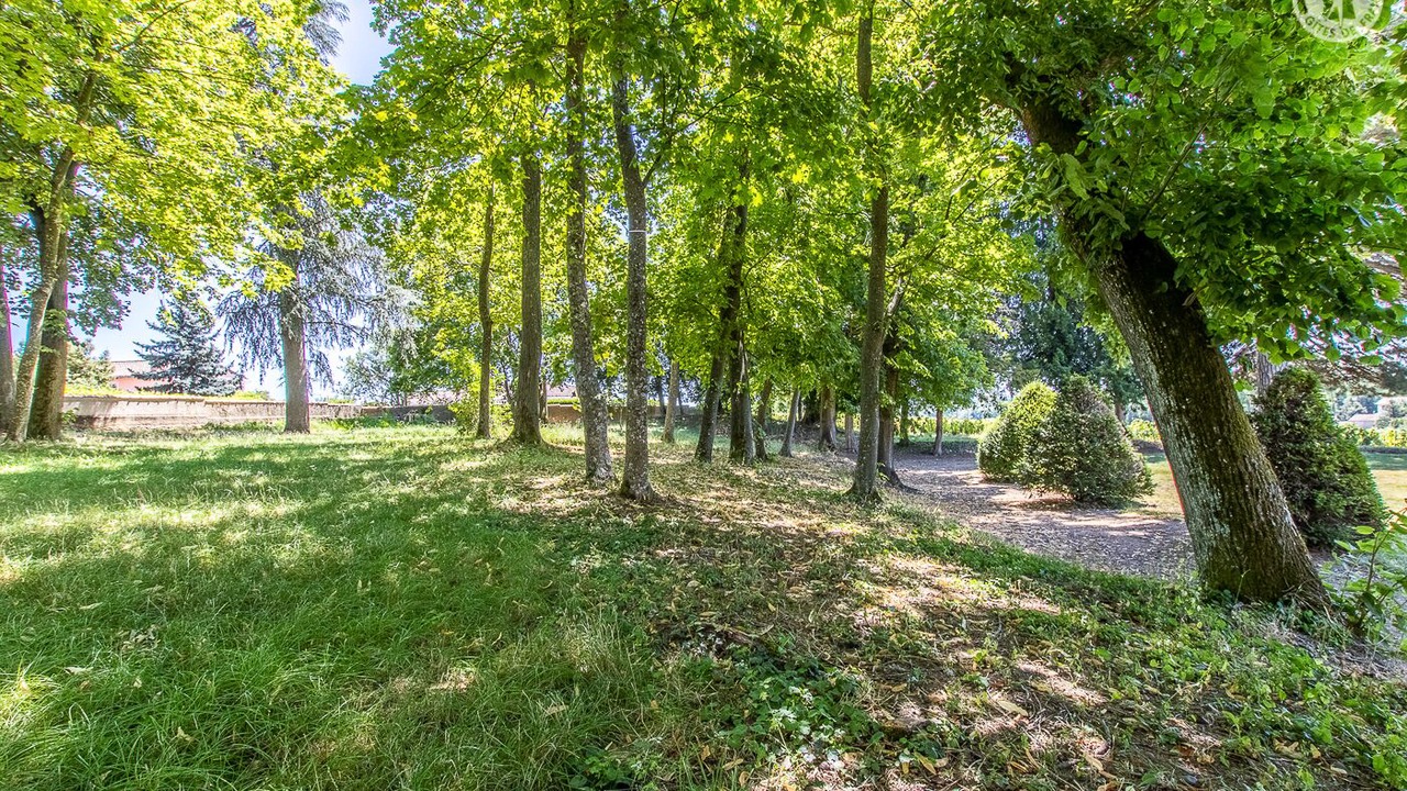 Photo of Outdoor in La Chapelle-de-Guinchay