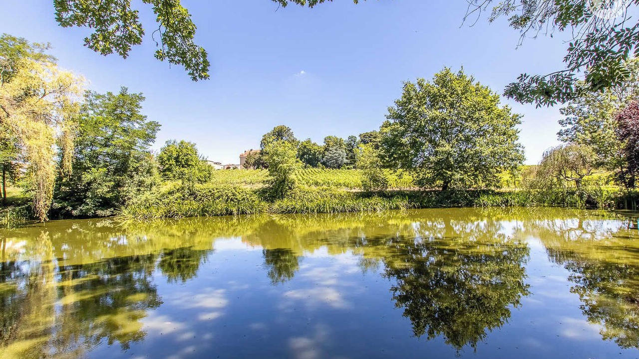 Photo of Others in La Chapelle-de-Guinchay