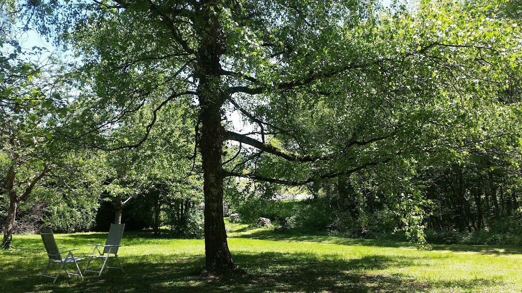 Photo of Outdoor in La Guiche