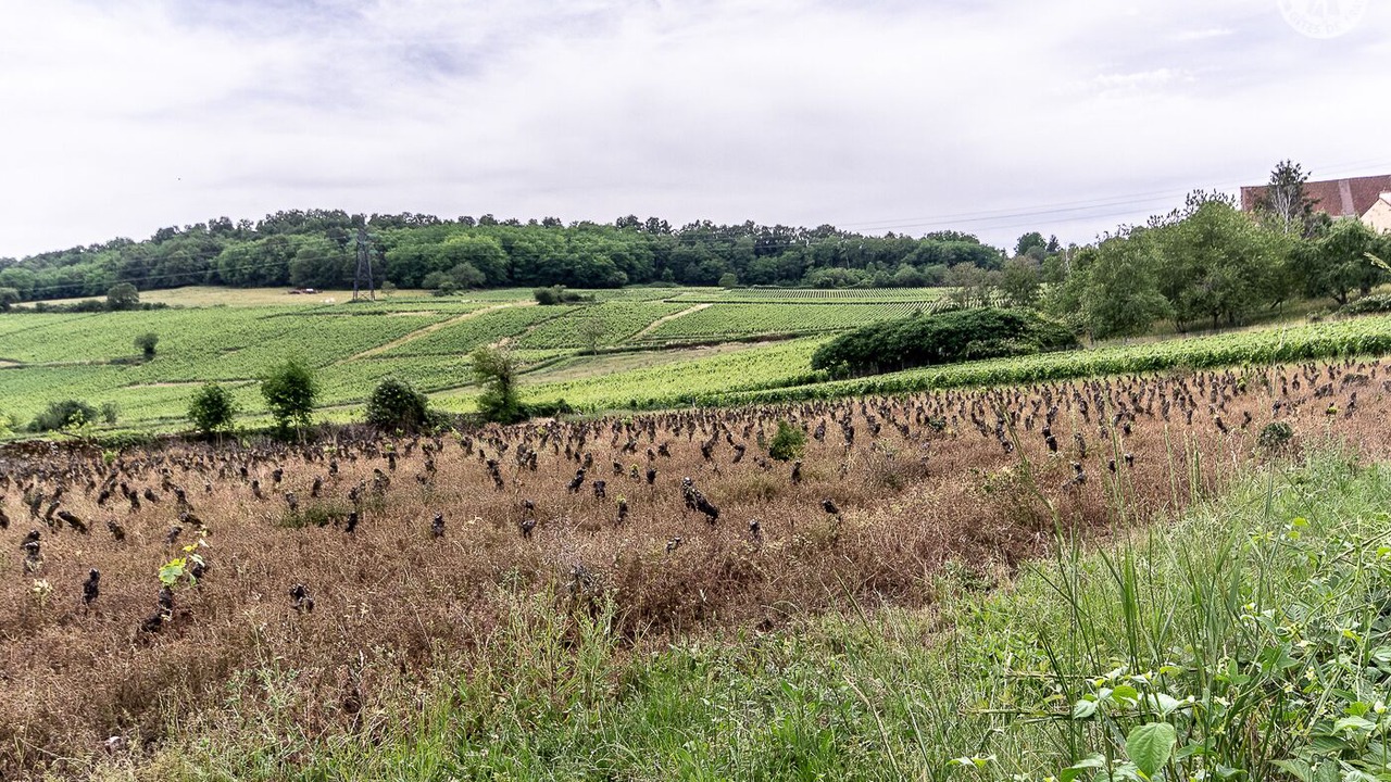 Photo of Outdoor in Saint-Vallerin