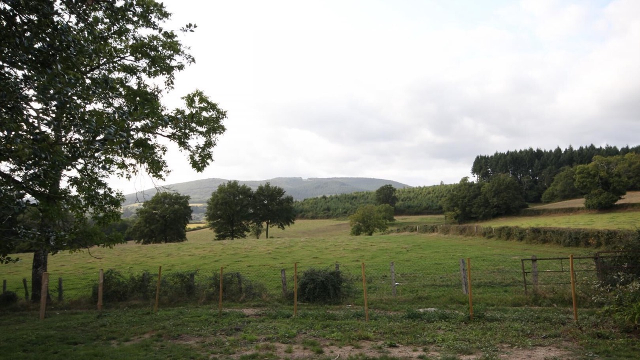 Photo of Outdoor in Saint-Leger-sous-Beuvray