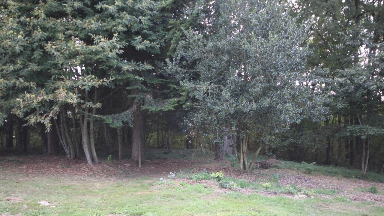 Photo of Outdoor in Saint-Leger-sous-Beuvray