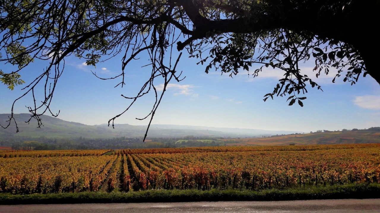 Photo of Others in Creot