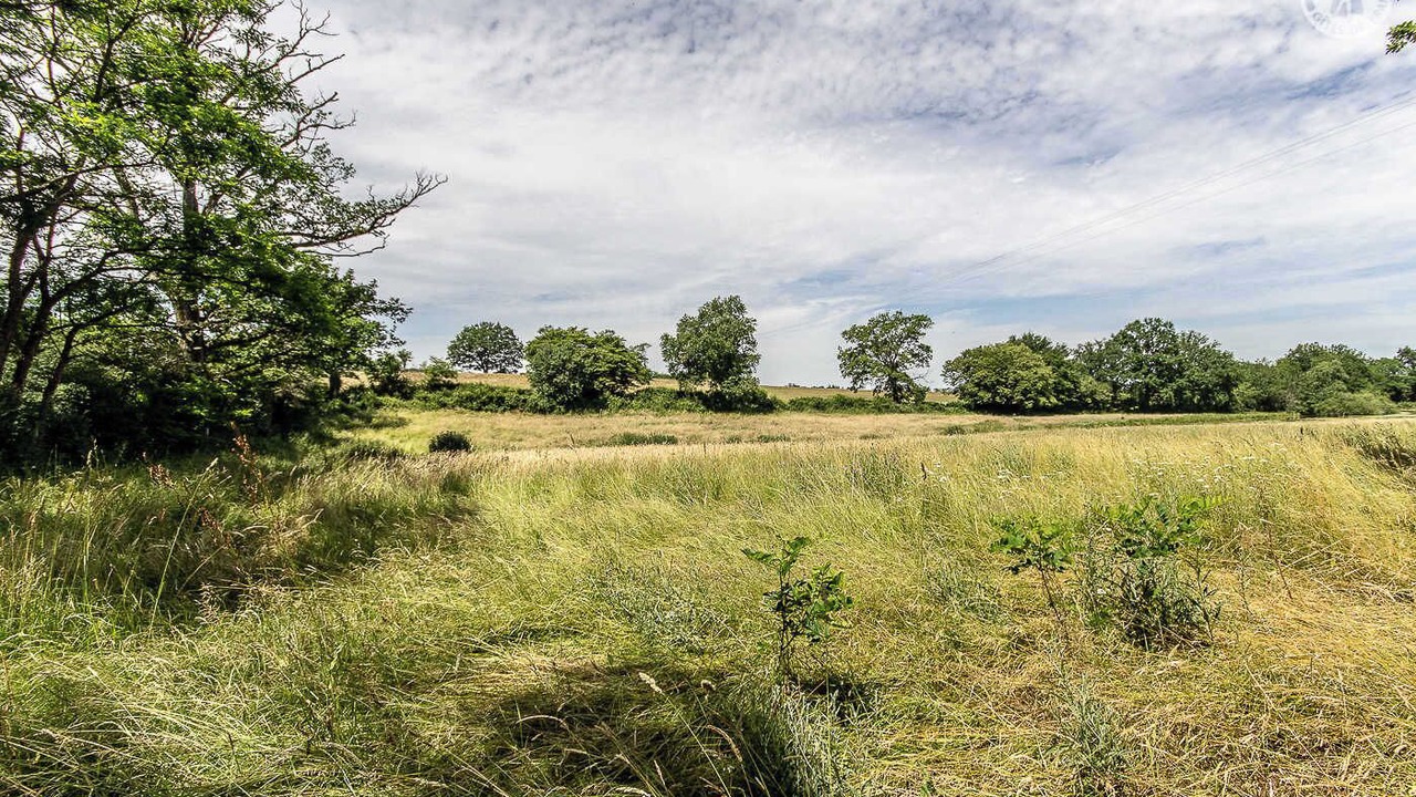 Photo of Others in Vitry-sur-Loire